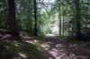 Findhorn July 2021 0202